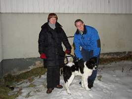 Hundfamiljen