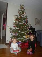 Julgranen2