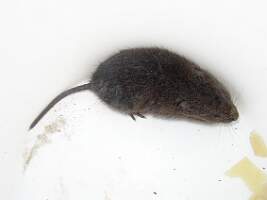 P5310011