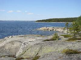 P6100028