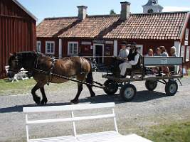 P7040045
