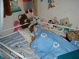 Bild 390