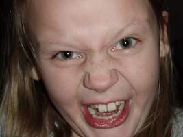 Bild 466