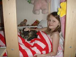 Bild 538