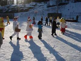 Bild 556