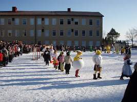 Bild 557