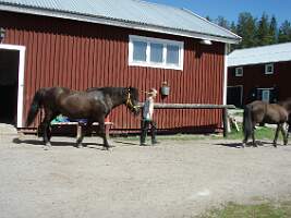 Bild 175
