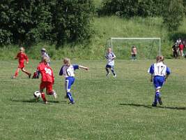 Bild 456
