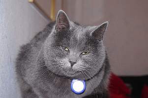 IMGP0024