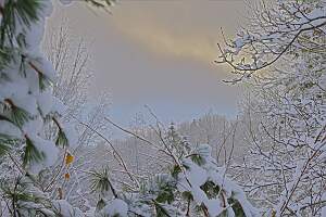 IMGP0861