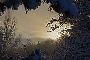 IMGP0865