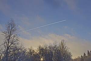 IMGP0869