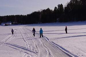 IMGP1577