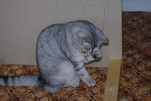 IMGP2269