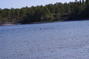IMGP2961