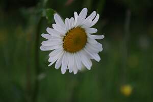 IMGP3149