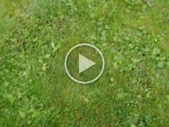 IMGP3686 null