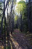IMGP7632