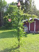 20120622_174956