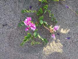20120706_202105