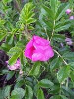 20120706_214420