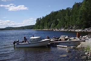 IMGP1296