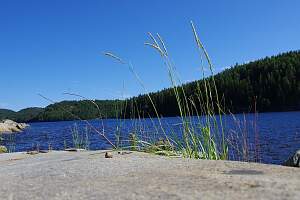IMGP1317