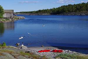 IMGP0861