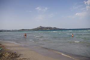 IMGP2653