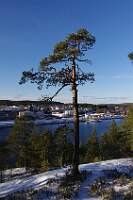 IMGP4248