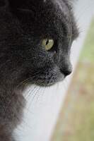 IMGP4498