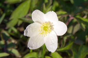 IMGP5967b