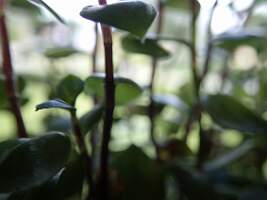 P7190159
