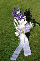 IMGP7241