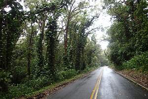 P4300020