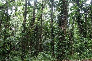 P4300021