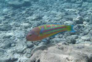 P5010071