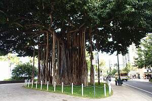 P5020033