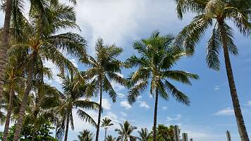 20140504_110046