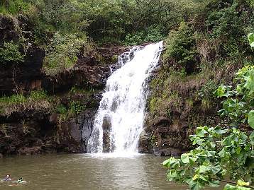 Haleiwa & Waimea