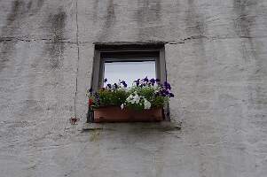 IMGP0676
