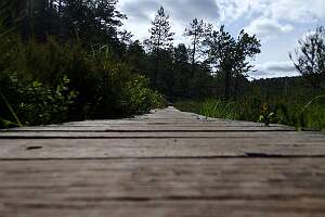 P7200019