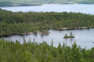 P7200033