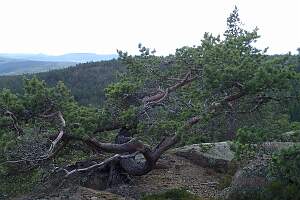 P7200040