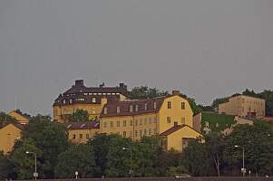 IMGP1482