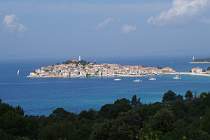 IMGP0210