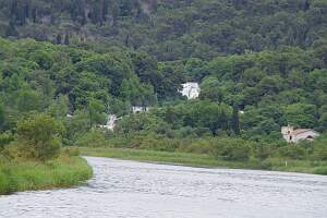 IMGP0435
