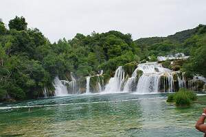 IMGP0445