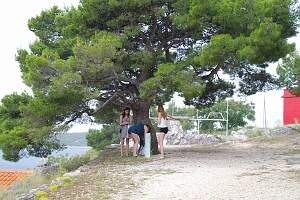 IMGP0731