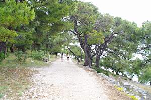 IMGP0736